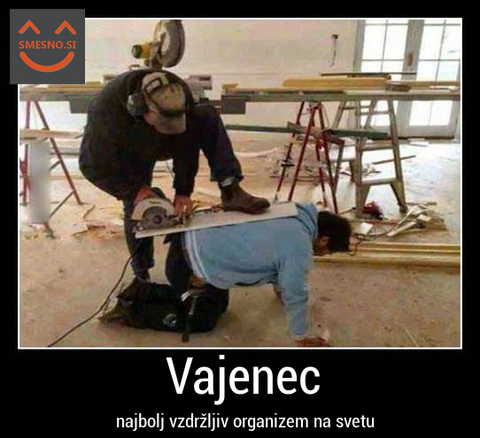 vajenci