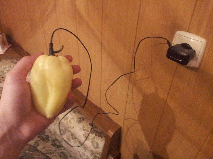 polnjena paprika
