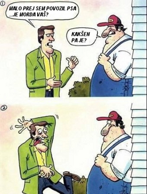 kako izgleda povozen pes