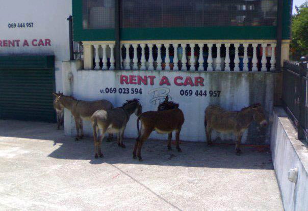 renta car