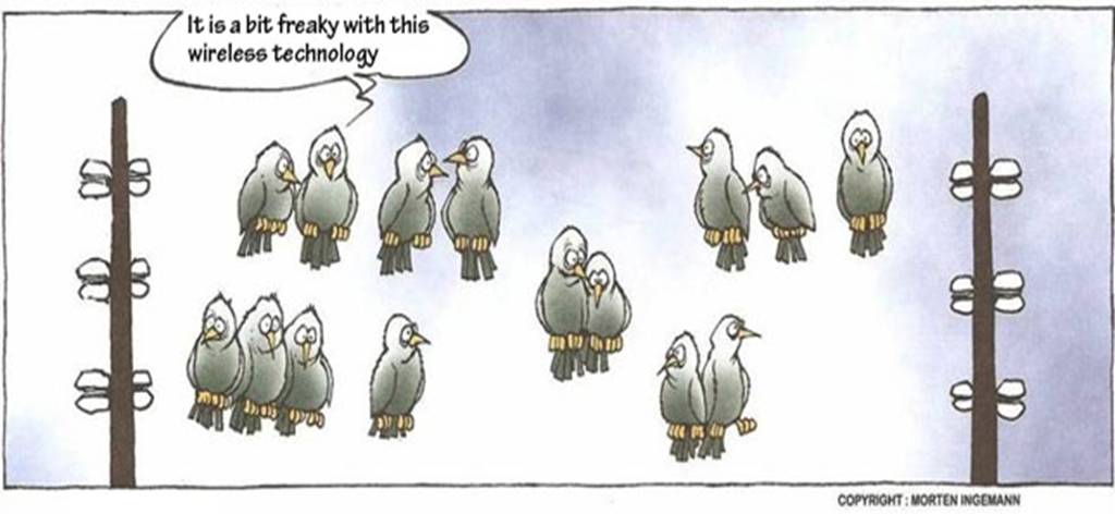 Wireless bird wire